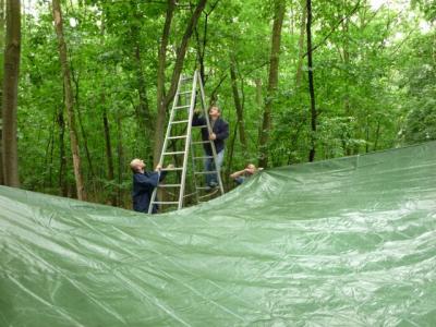 waldfest2010_102.jpg