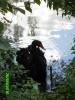 pwe2010_109_t1.jpg