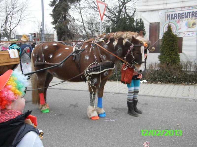 fasching2013_313.jpg